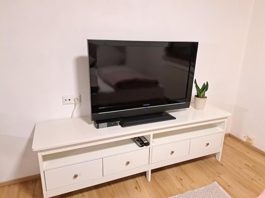 Ferienwohnung Zanier Gaissau  Dış mekan fotoğraf